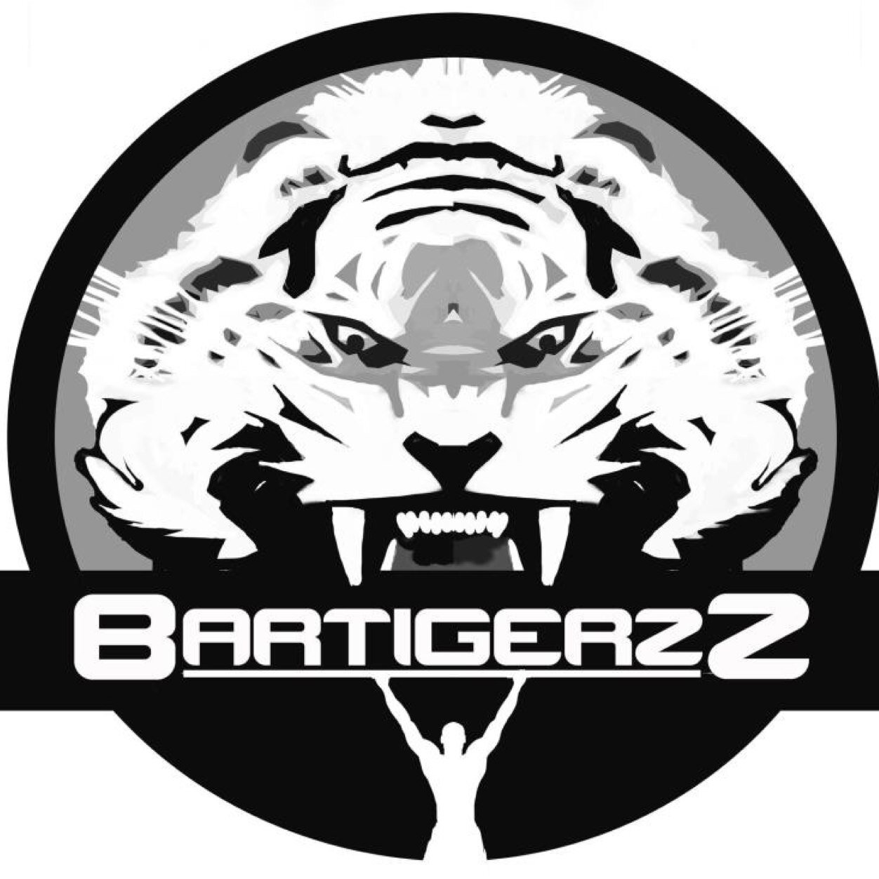 Twitter officiel Bartigerzz #streetworkout