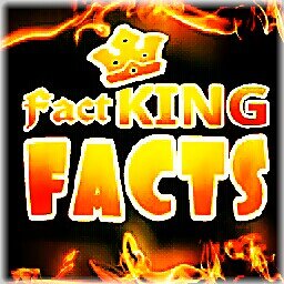 Daily facts, trivia, useful info, tips, tutorials and more from best sources on the web. | Click links to read full articles. | We do not owned the contents.