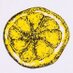The Stone Roses Bar (@stonerosesleeds) Twitter profile photo