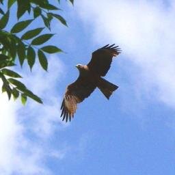 Umweltinspektor's profile picture. Umwelt-News über den ganz alltäglichen Wahnsinn: Fracking, Gentechnik, Pestzide und Umweltgifte zerstören unsere Lebensgrundlage und machen uns alle krank.