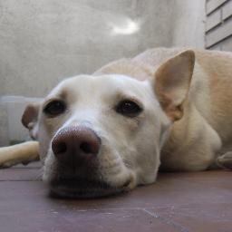 Quiero despertarme cada mañana con una ilusión, quiero despertarme con una sonrisa y poder decir que me encanta lo que hago.