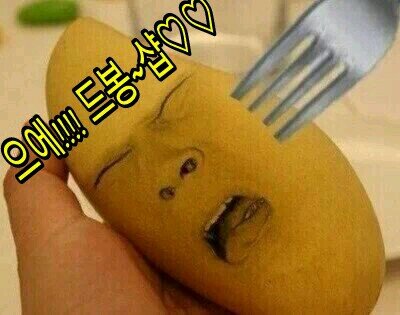 140122~ing♡/드봉샵입니당♡~/거파시 물건의 50%입니당 우편분실,파손등 책임x 등기반송되면 반송료 본인부담!!