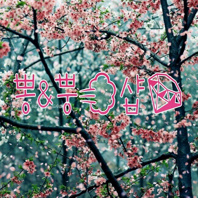 ♥12/09~ing♥                                                                 외환은행 620-152466-425  ㅇㅅㅁ                                   거파금 원가의 50%/우편분실책임X