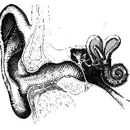 Helping you cope with your tinnitus.