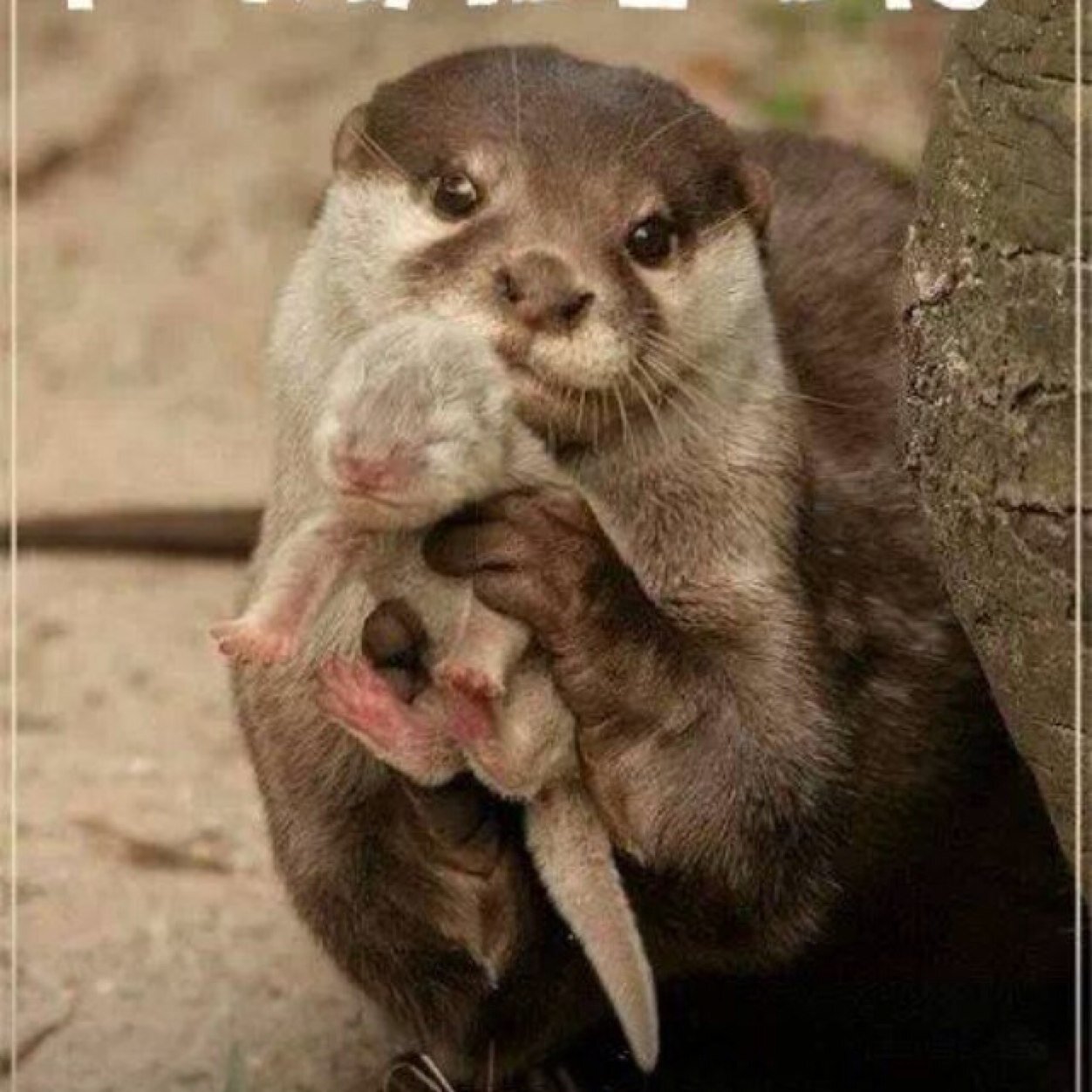 karaw30's profile picture. 