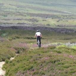 yesiamtom's profile picture. 