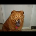 jackie barrera - @texasisthebest - Twitter