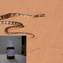 SOLIM-1 , tem a capacidade de espantar as cobras num raio de 100 metros com a garantia de 10 meses de proteção e segurança .