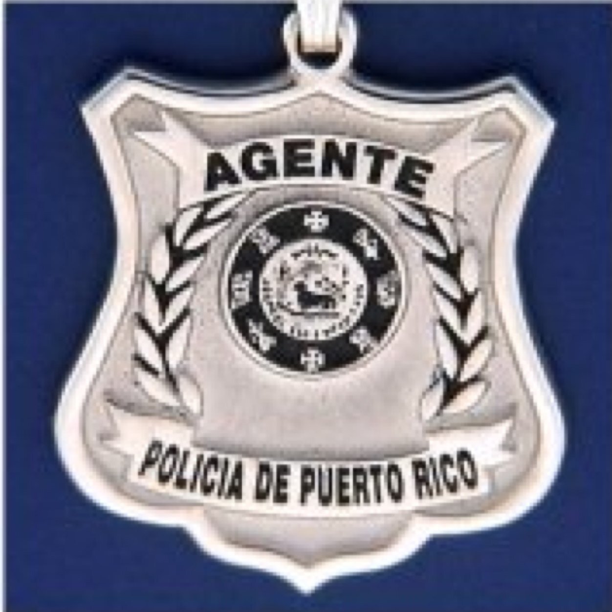 No es una pagina oficial de la policia de Puerto Rico. Página dedicada a mantener informados a nuestros compañeros sobre issues que nos afectan.