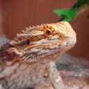 Marshall Kidd - @Marshall_Ruru - Twitter