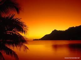 Siddet85's profile picture. 