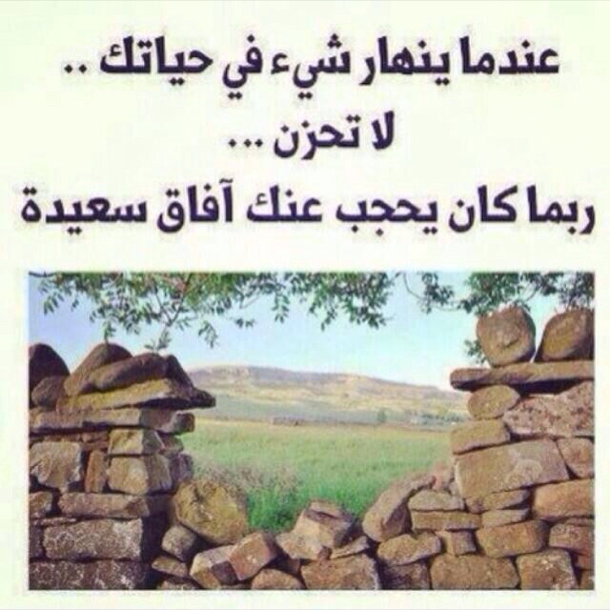 أغرد بما يفيدني ويفيدكم !