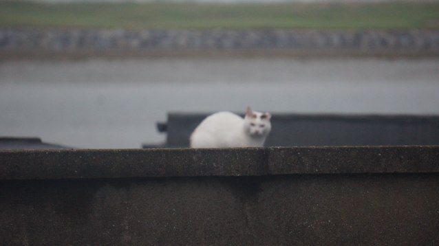 jlarsen0959's profile picture. 