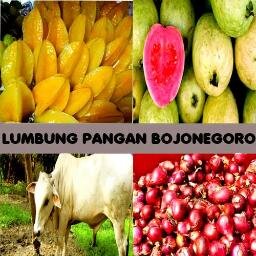 Menjadikan Bojonegoro #LumbungPangan Nasional. Fb https://t.co/PycaqNPfCJ