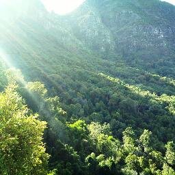 Newlands Forest is a conservancy area on the eastern slopes of Table Mountain, beside the suburb of Newlands, Cape Town.
