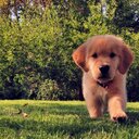 johnny wei - @zmsny5201 - Twitter