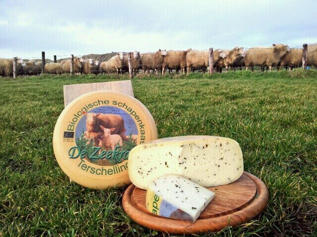 DeZeekraal's profile picture. biologisch melkschapenbedrijf op Terschelling met kaasmakerij, ijsmakerij, Waddengoudwinkel, het Betere BoerenBed, agrarisch natuurbeheer en veel weidevogels