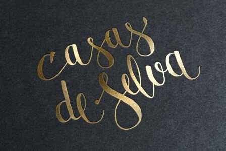 casasdeselva's profile picture. El Fruto de Una Joya de la Naturaleza
#AOVE #ecológico de #olivos #centenarios. #organic #EVOO of centuries old olive trees. #vino & #wine #gourmet #ecoturismo