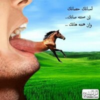 اخبار اليمن (@moadhqaid) 's Twitter Profile