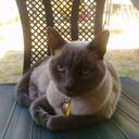 Beverly Beck - @elpasomoomie - Twitter