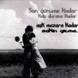 hayvan sever