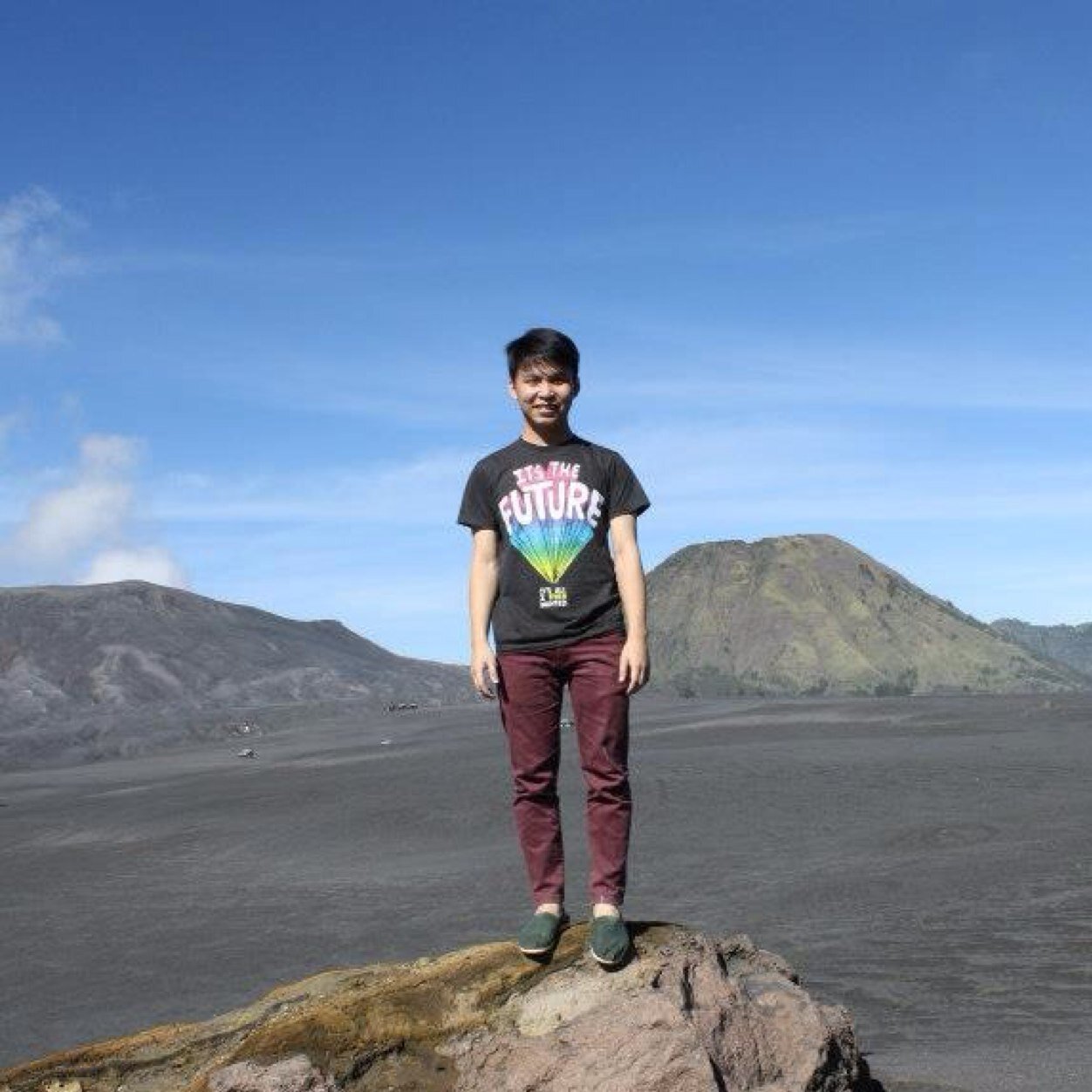 AlfreDjiwari's profile picture. :)