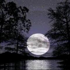 LBellaliz's profile picture. 