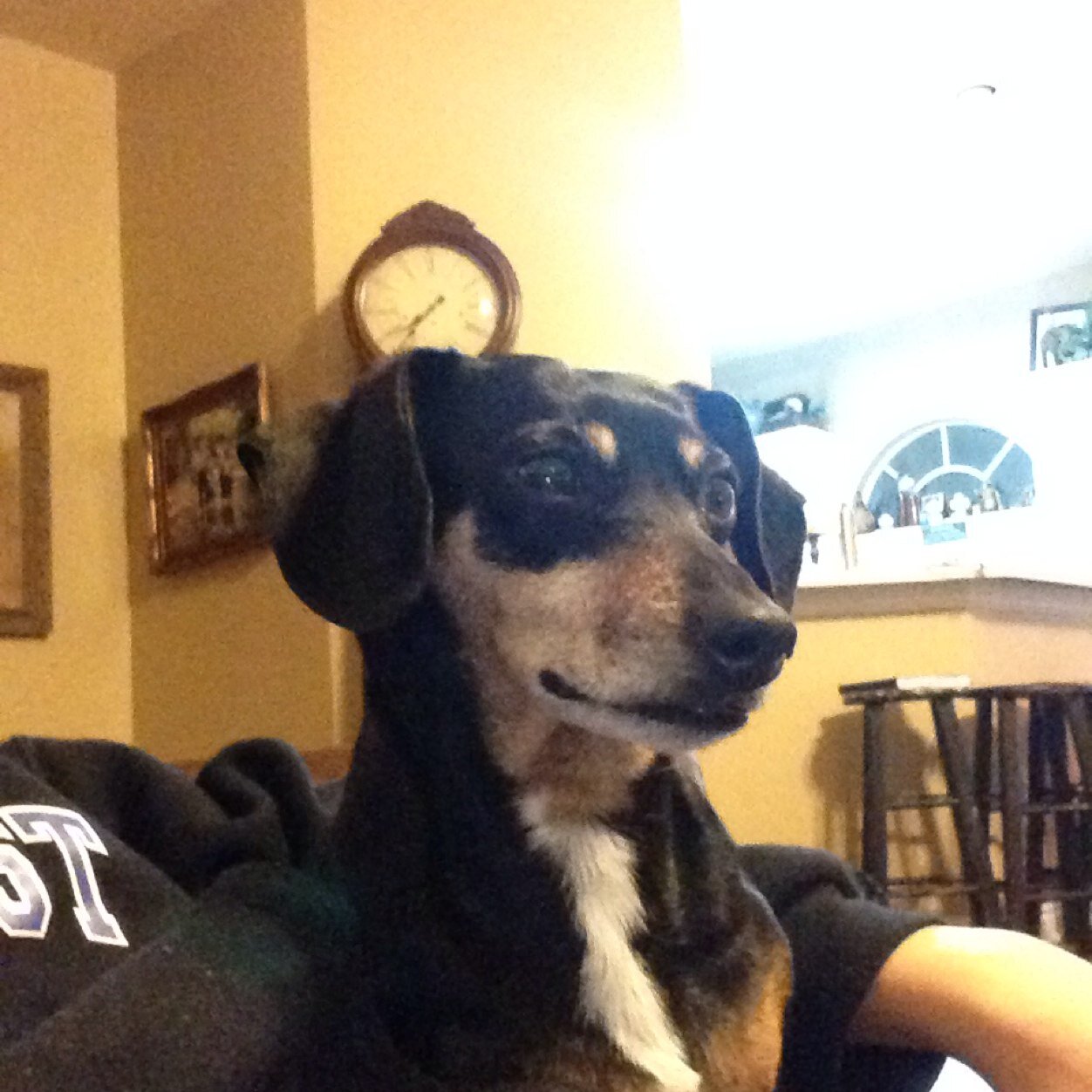 planobrady's profile picture. 