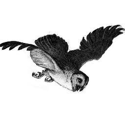 TheAegoliusClub's profile picture. The most mysterious gentlemen's club in London, keepers of a dark secret, shared only with readers of #TheQuick.