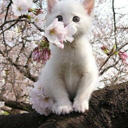 VasilikiXatzian's profile picture. 