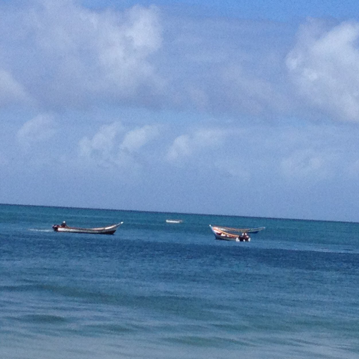 Irenorojas's profile picture. 