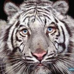 #взаимныйфолловинг #ЧитаюВзаимно #followback #FollowBack #ВзаимныйФолловинг