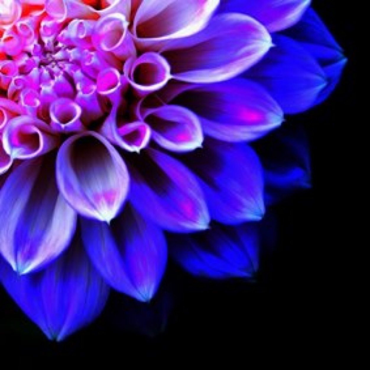 SomthichaN's profile picture. 