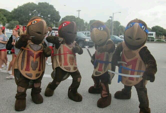Allow me to reintroduce myself.  My name is Steve - S to the T-E.
