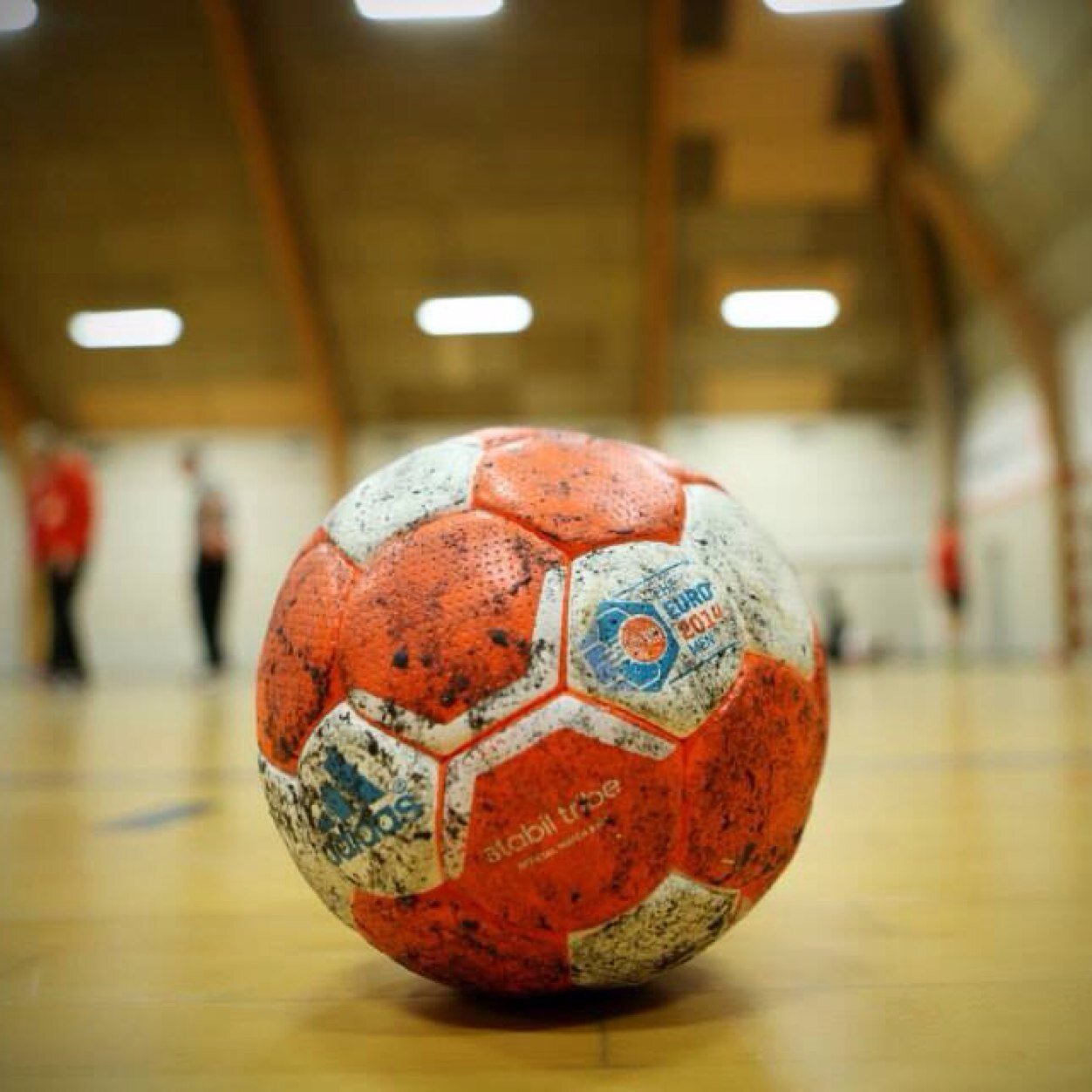 TEC.SUPERIOR DEPORTIVO EN BALONMANO (Entrenador Nacional. Nivel 3) , TEC.ESPECIALISTA EN INFORM. DE GESTION Y ADMINIS. DE Empresas