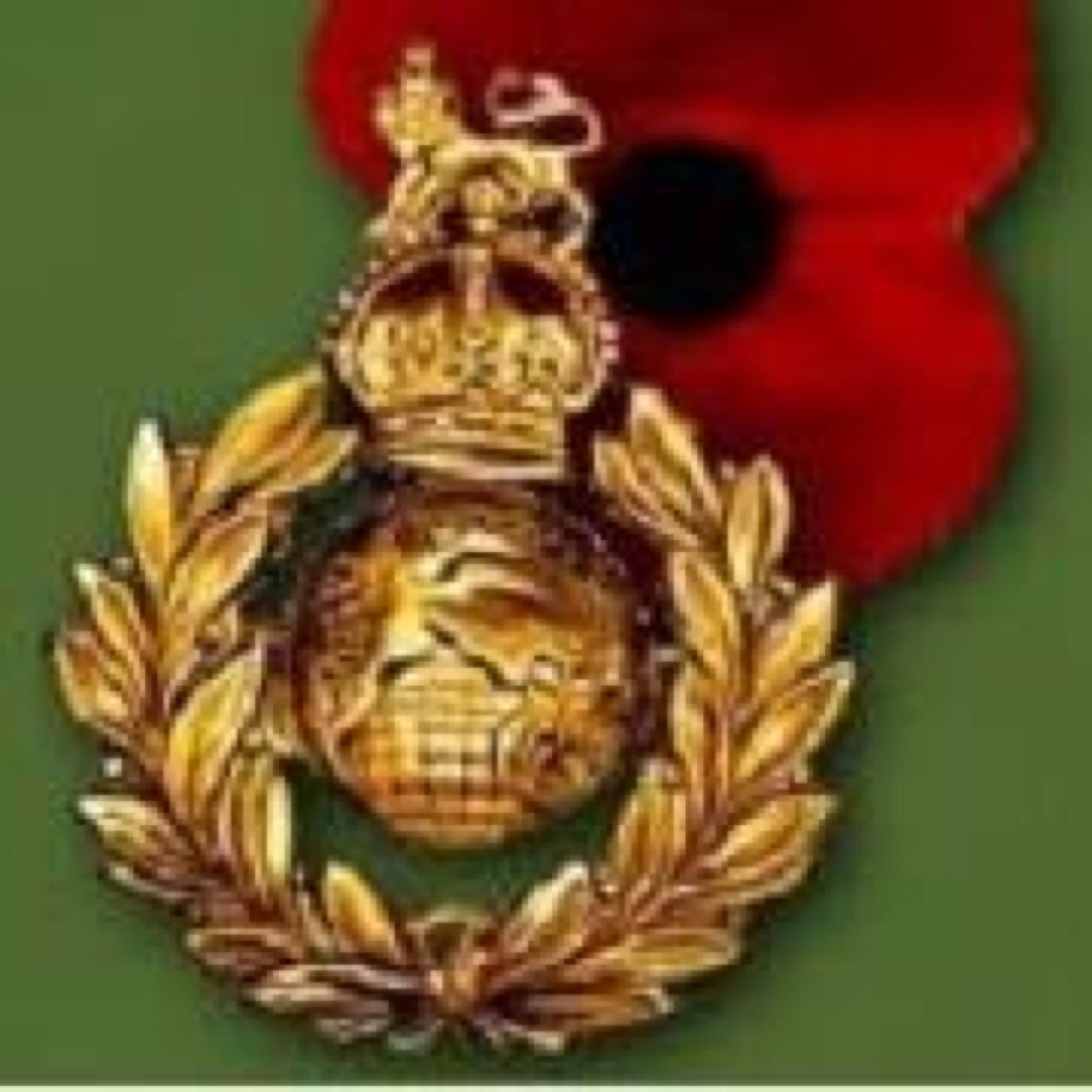ex royal marine commando, now fully gas safe heating engineer.