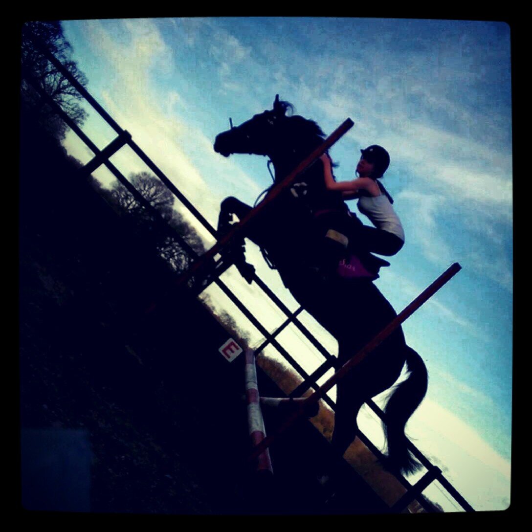 Event/show jumping rider...