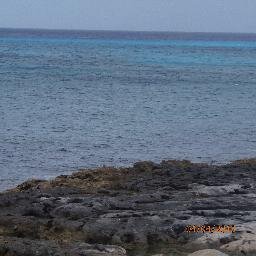 aljiher04's profile picture. 