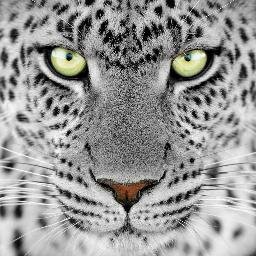 Check out our site for wallpapers to suit your taste!