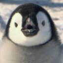 . (@01120711) Twitter