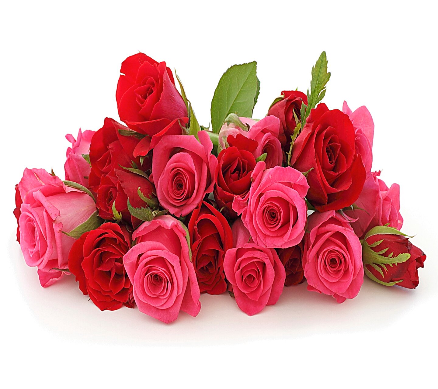 aadd11290's profile picture. Sarah.