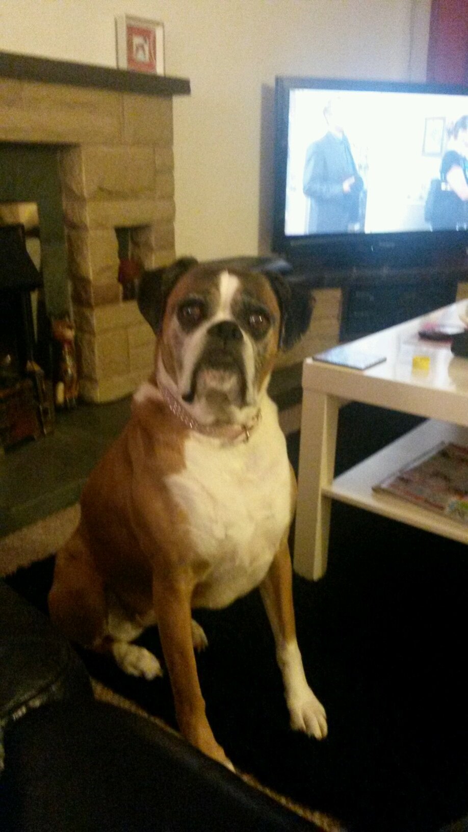 Janeliz65's profile picture. 