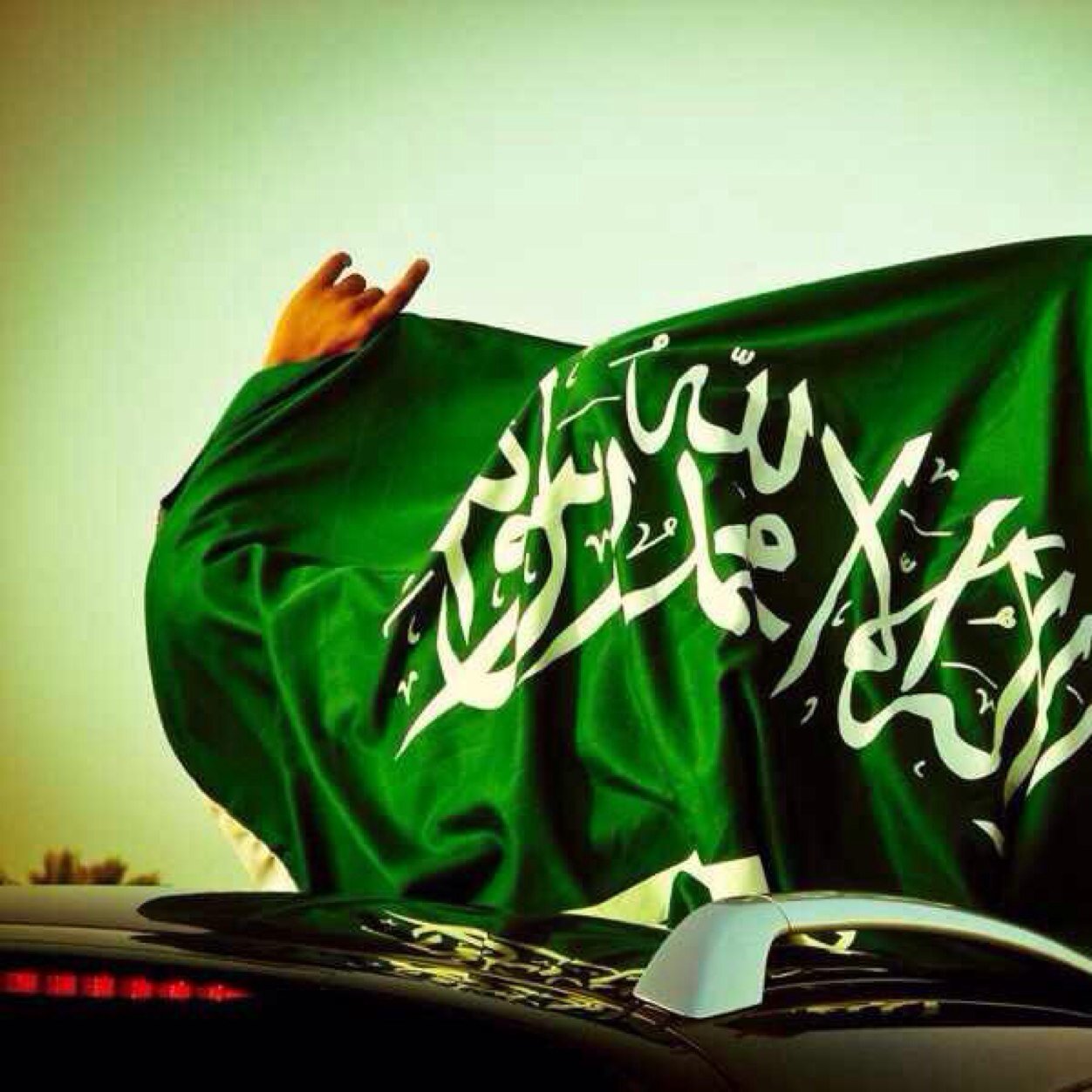 fdffffccccfff33's profile picture. 