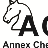 Annex Chess Club (@annexcc) 's Twitter Profile