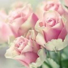 MaMamarzouk1's profile picture. 