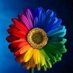 JocKeshetPrice (@jockeshetprice) Twitter profile photo JocKeshetPrice (@jockeshetprice) Twitter profile photo