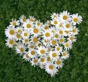 daisyechain's profile picture. Chai tea loving marketing exec and aspiring superhero. Fairtrade crusader. Travel, food and culture enthusiast. Star Wars geek and mummy to one little Jedi.