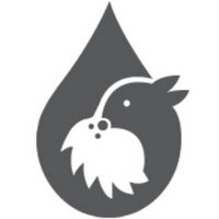 Rock and Rain (@rockandrainuk) 's Twitter Profile