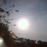 DiodeZ (@chuonchuonxauxi) 's Twitter Profile