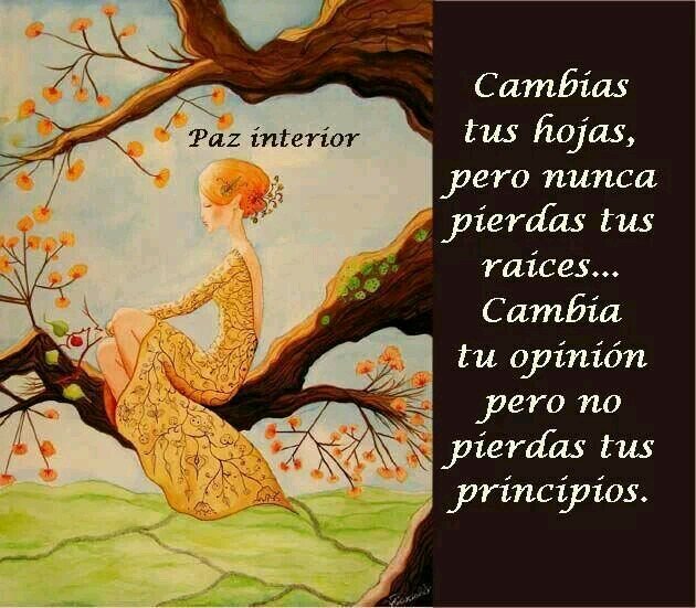 Aún en tiempos difíciles: ¡No dejes de soñar!